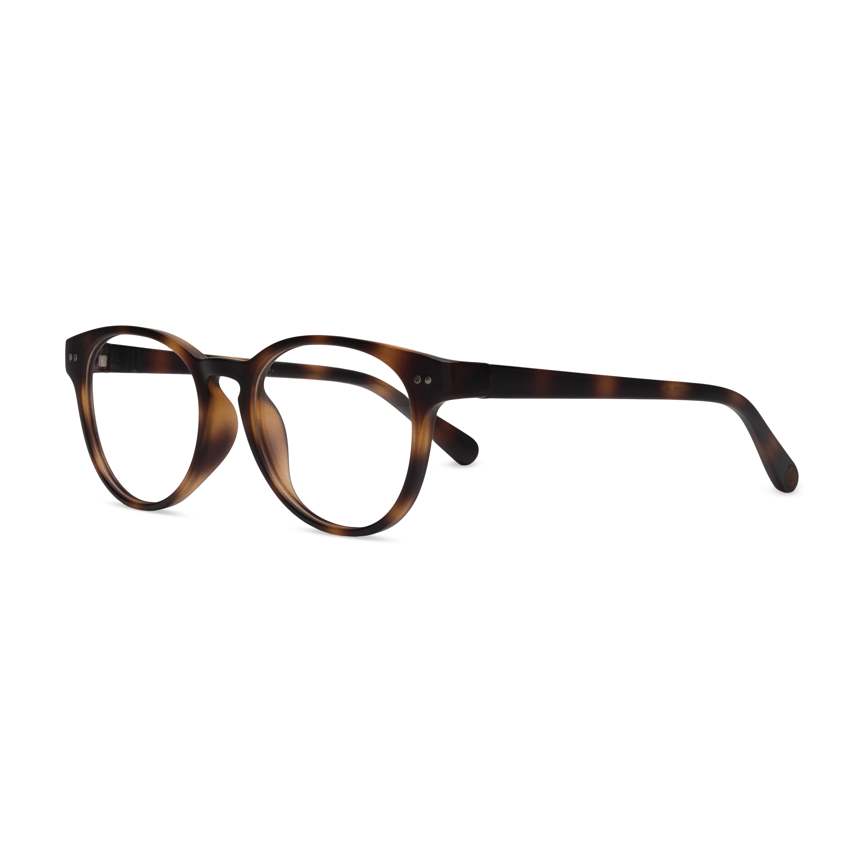 Abbey Readers, Tortoise